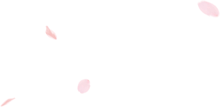 Japan Cherry Blossom Season 2020 Veltra Tours Activities Fun Things To Do Cherry blossom illustration, a cherry blossom, cherry blossom flowers transparent background png clipart. japan cherry blossom season 2020