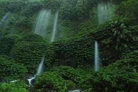 Tarif ini belum dengan jasa pemandu wisata yang bisa memandu anda untuk beraktivitas di sini. Menikmati Sejuknya Air Terjun Benang Kelambu Di Lombok