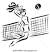 Indoor Volleyball Net