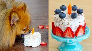 We have rounded up a fabulous collection of dog cake ideas for birthdays and there's something for everyone. How To Make A Birthday Cake For Dogs Paddington S Pantry Recipe Youtube