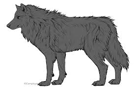 Free Fluffy Wolf Side Base By Chickenbusiness Cute Wolf Drawings Wolf Drawing Canine Art Comes with 2 png files, one transparent, one not. free fluffy wolf side base by