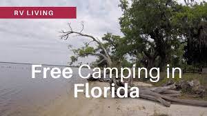 The state's public lands, where you'll find the bulk of the free tent camping and rv camping, often require a reservation and permit that can be acquired online or by calling ahead. Rv Living Free Camping In Florida Youtube