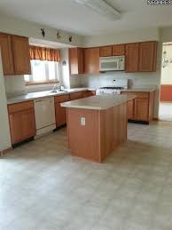 painted kitchen cabinets adding
