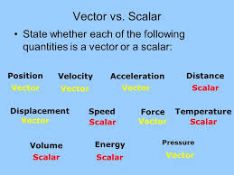 Vector Vs Scalar State Whether Each Introduction To Physics Physics Classical Mechanics