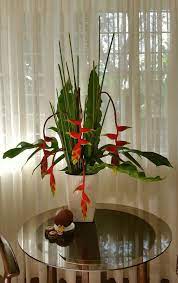 Birds Of Paradise Heliconia Rostrata Hanging Lobster Claw Heliconia Flower Flower Decorations Floral Arrangements