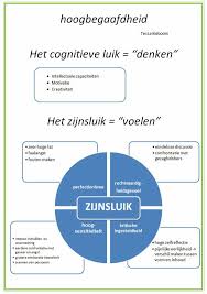 Pin Op Highly Giftedness