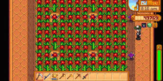 Home tags stardew valley sprinkler layout greenhouse tag: Stardew Valley 12 Best Crops To Grow In The Greenhouse