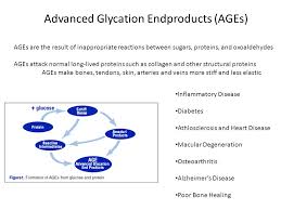 Why We Age Osher Instructors Matt Kaeberlein Lara Shamieh Ppt Video Online Download