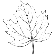 These are some easy things to draw every beginner can do. How To Draw Maple Leaves Easy Leaf Step By Step Drawing Lesson How To Draw Step By Step Drawing Tutorials