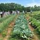 Organic Management + Conservation: Strengthening event image