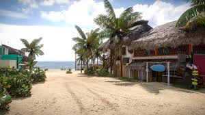 Mike brown, creative director of forza horizon 5 takes us through an extended first look at gameplay. Fia6hvpsyv62mm