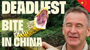 Austin Stevens Snakemaster