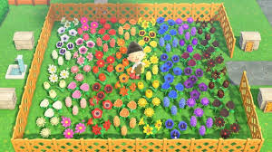 Thanks To The Flower Trading Thread And Constant Watering The Rainbow Patch Is Done Every Color Of Eve In 2020 Animal Crossing Game Animal Crossing Qr Animal Crossing