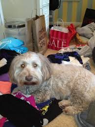 Karin Goldstein (@kalagld)