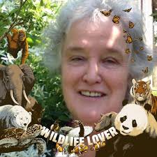 Brilliant, brilliant, brilliant, brilliant, brilliant, brilliant, yeah yeah  yeah yeah yeah yeah ha ha ha ha ha ha yay, right  on🎯🎯💯💯💙💙🗣️🗣️📣📣🔊🔊🗣️🗣️⁉️⁉️⁉️⁉️￼