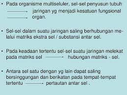 Pembelahan Sel Komunikasi Antar Sel Ppt Download