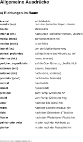 Ebene, symmetrieebene bei bilateral symmetrisch (monosymmetrisch) gebauten lebewesen; Funktionelle Anatomie Pdf Free Download