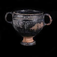 Image result for Dignathia