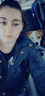 ISO a certified dog trainer that can help with two dogs who are sisters to  rebound and stop trying to fight all the time.