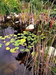 Shop for outdoor pond filters at walmart.com. Pond Pumps Are Not Required In Man Made Ponds