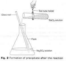 Cbse Class 10 Science Lab Manual Types Of Reactions A Plus Topper Science Lab Learning Science Enrichment Activities