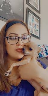 Lost Brown Chihuahua in Maricopa, AZ