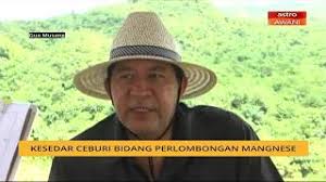 Lembaga kemajuan kelantan selatan (kesedar) kumpulan perkhidmatan : Jawatan Kosong Kesedar Lembaga Kemajuan Kelantan Selatan 26 Oktober 2017 With Images Resep Kuini