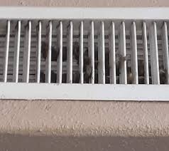 Invest in preventive pest control las vegas. Pest Control Gallery Killer Instinct Pest Control Las Vegas