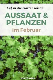 Aussaat Pflanzen Im Februar Beispiel Gartenplan Wurzelwerk In 2020 Pflanzen Nutzgarten Anlegen Garten