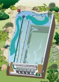 Badespass Im Schwimmteich Schwimmteich Naturschwimmbecken Und Naturschwimmbader