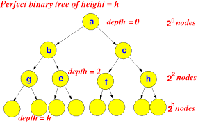 Binary Trees Binary Tree Binary Tree Binary Tree A Tree Where Each Node Has At Most 2 Children Nodes Example Left And Right Child Because Each Node Has At Most 2 Children Nodes We Can Label The Children Distinctly As Left And Right Note Some Nodes