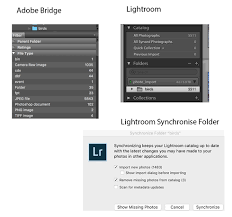 And there's some extra gravy. Lightroom Classic And Cc Allow Catalog To Be Stored On A Networked Drive Adobe Photoshop Family