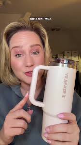 Stanley Cup Leakproof Sage Grey