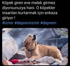 M Sermet Sakin Sermetsakin Twitter