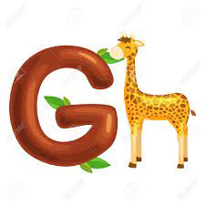 Do one, a few or over . Animal Giraffe And Letter For Kids Abc Education In Preschool Cute Animals Letters English Alphabet Cartoon Animals Alphabet For Learning Letters Vector Illustration Single Letter With Wild Animal Giraffe Royalty Free Cliparts Vectors
