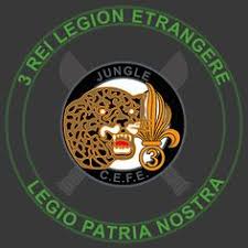 Image result for World Foreign Legions