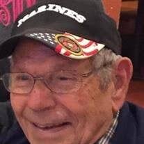 Louis Daniel Rao Sr. Obituary