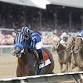 Kentucky Derby Charity