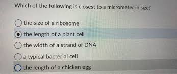 We did not find results for: Which Of The Following Is Closest To A Micrometer In Chegg Com
