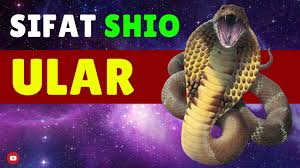 Kaji Baik Ramalan Hoki Shio Ular Di Tahun Tikus Logam 2020 Youtube