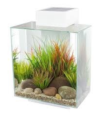Amazon Com Fluval Edge 12 Gallon Aquarium With 42 Led Light White Fish Tank Coffee Tables Pet Supplies Aquarium Set Aquarium Aquarium Kit