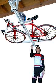 6 Fahrrad Und E Bike Halterungen Von Funktional Bis Stylisch