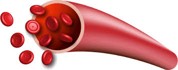 تصویر مرتبط