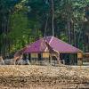 Hotels near beekse bergen safari park. Https Encrypted Tbn0 Gstatic Com Images Q Tbn And9gcqcw0rq7ambqod Nnpieoqo6wladiheevvovfk13ejyuuvpn0iw Usqp Cau