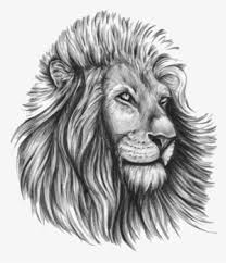 Lion tattoo art with round shape hunting damn lovely forearm. Lion Tattoo Png Images Png Cliparts Free Download On Seekpng