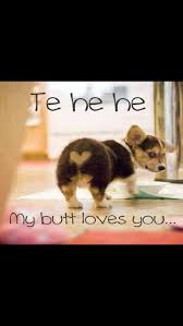 Funny inspirational quotes are considered as the most entertaining quotes because aside from being witty, they are also wise quotes. Best Funny Quotes 25 Best Funny Animal Quotes And Funny Memes Quotes And Humor Omg Quotes Your Daily Dose Of Motivation Positivity Quotes Sayings Short Stories