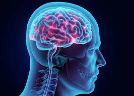 The Pain Pathway And Your Brain Leslie R Delaney Md Pain Management