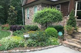 Pulling poison ivy by (gloved) hand is probably the most effective method for removal, but requires direct contact with the plant and extreme care should be taken before disturbing the plants and their roots. Great Price On Ivarest Poison Oak Ivy Treatment At Publix Enjoy Your Time Outside This Summer