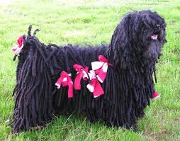 puli compact vigorous and alert the puli is a tough as nails herding dog able to perform its duties across any terrain puli dog puli dog breed dog breeds