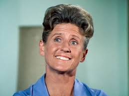 Did you know Ann B. Davis, the actress best known as Alice Nelson from The  Brady Bunch, moved to Ambridge, Pennsylvania, in 1990 with Bishop William  Frey and his wife, where she
